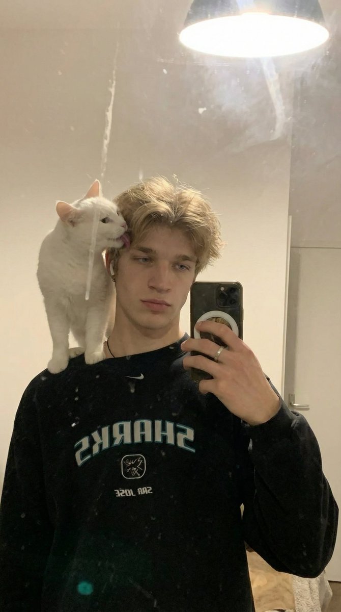暖光卧室里的猫咪镜面自拍
