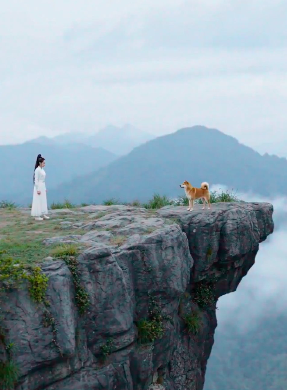柴犬与古装女侠：悬崖上的对决