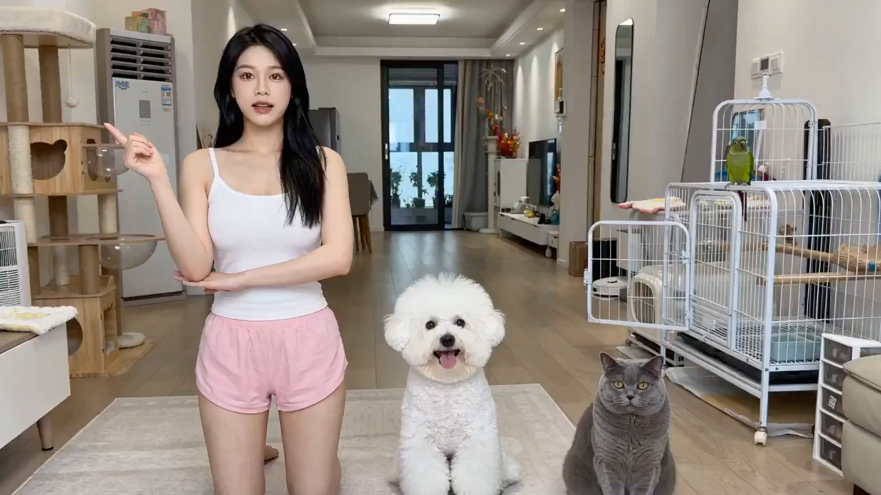 萌宠飙戏大赏：为了猫罐头拼演技