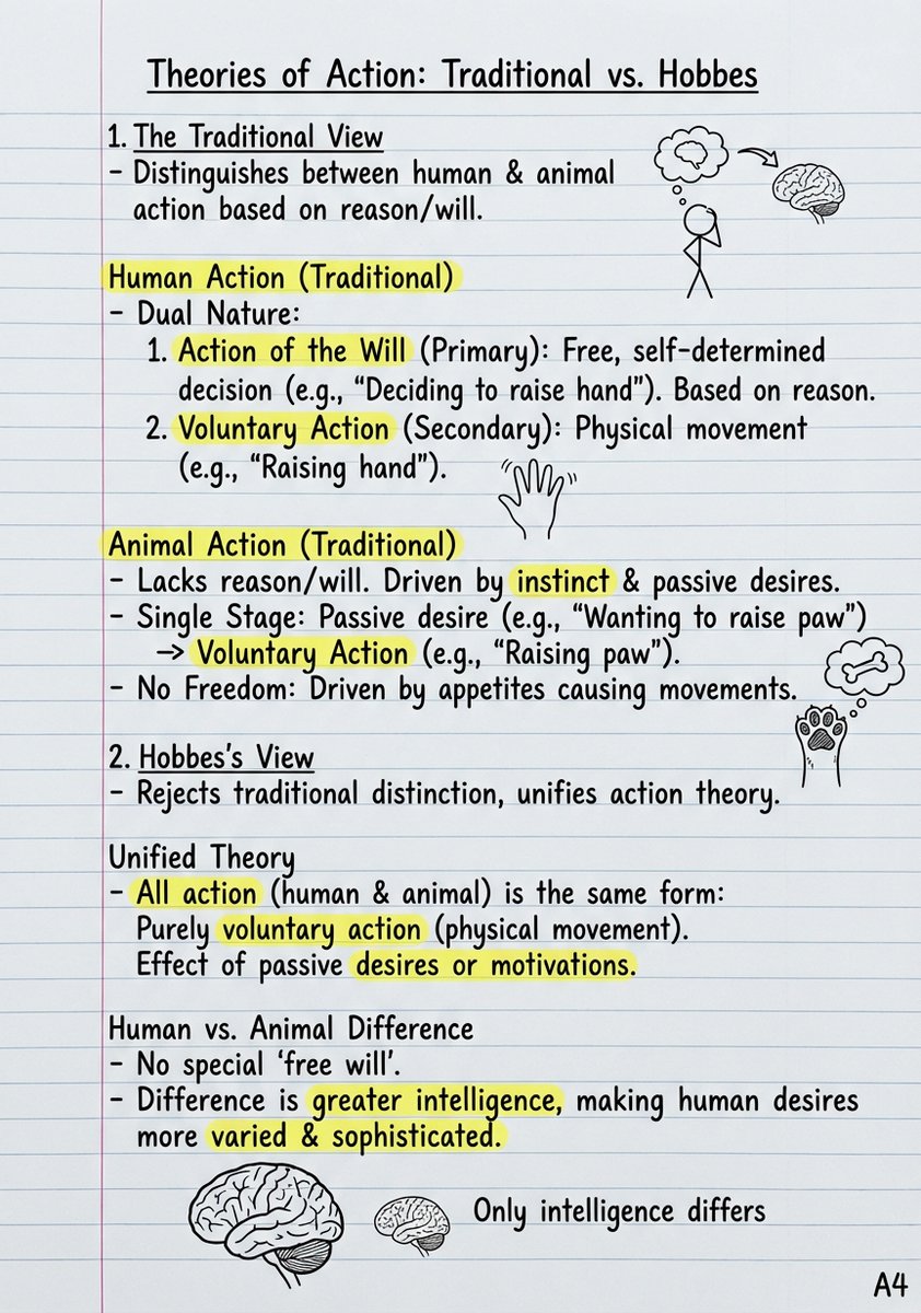 荧光笔标注的A4手写学霸笔记