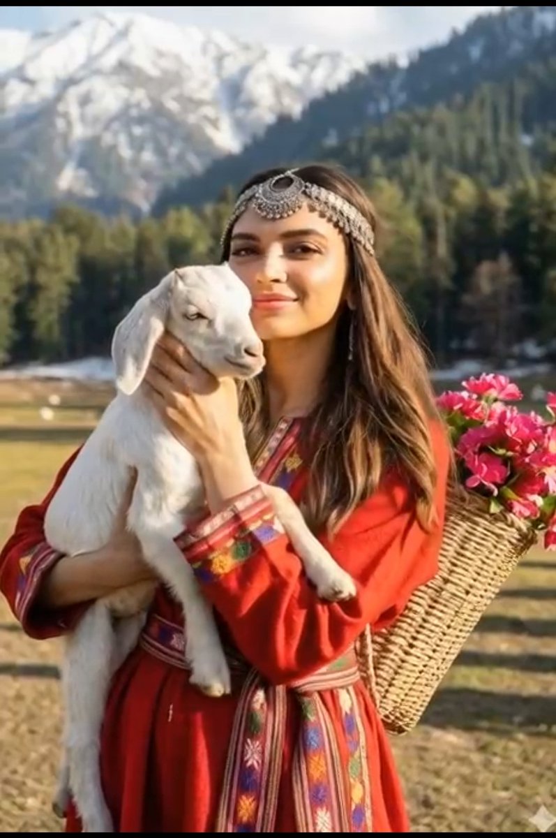 喜马拉雅夕照下抱白山羊的克什米尔少女