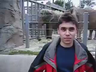 模糊老式相机风格的动物园男人与大象视频